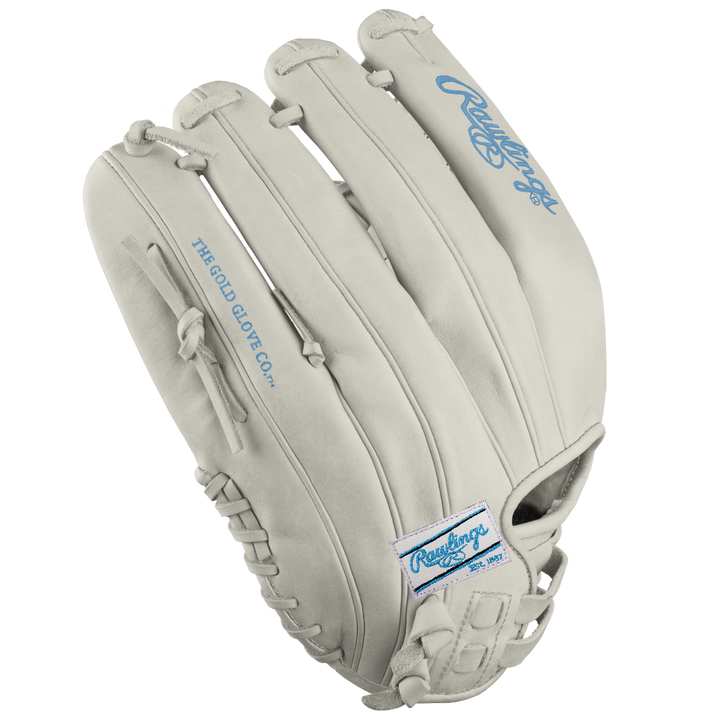 A Rawlings Heart of the Hide 12" Frost DSG Exclusive Fastpitch Glove (PRO120SB-7WCBDSG) by Rawlings rests on a white background, highlighting its premium craftsmanship and softball-ready design.
