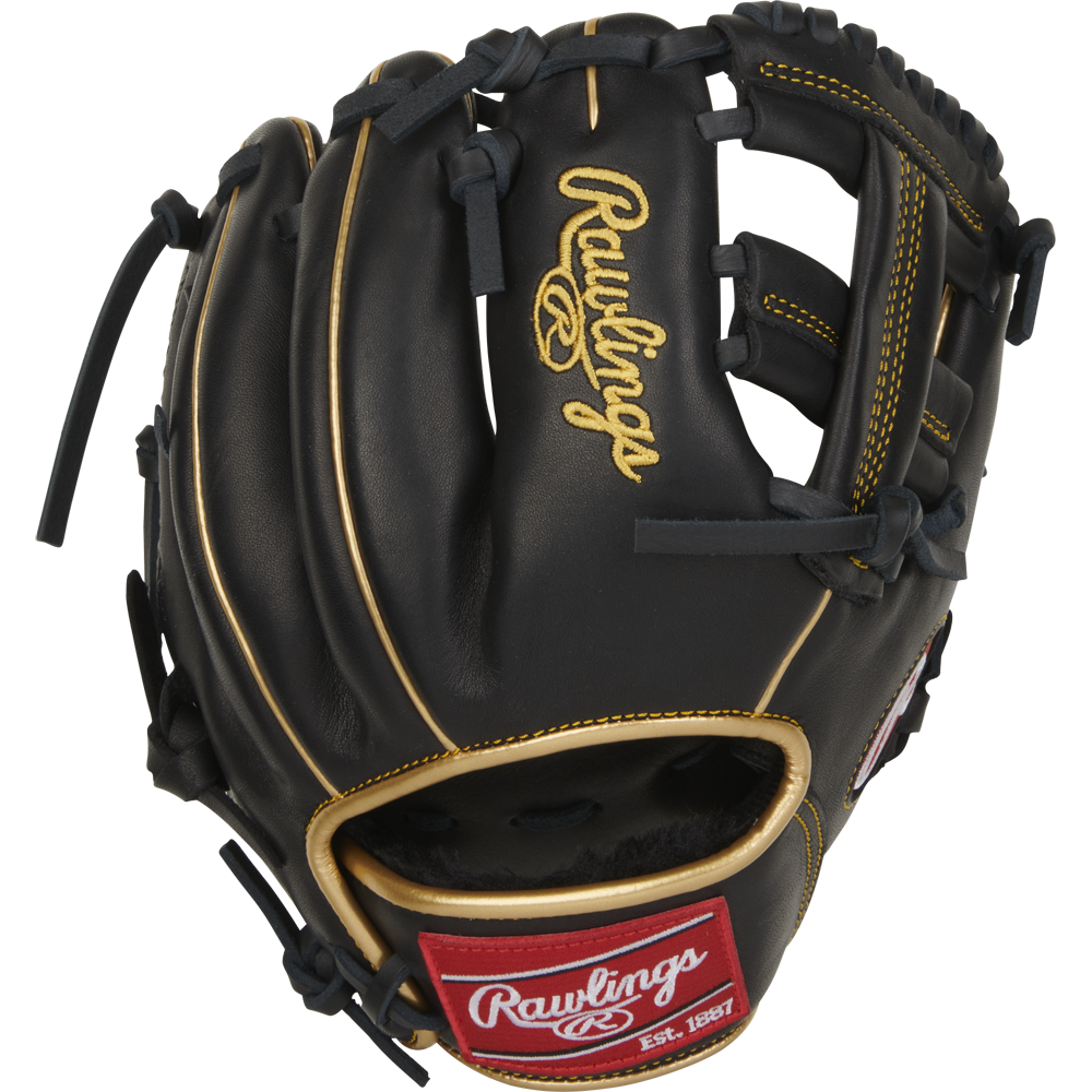 The Rawlings R9 9.5" Training Baseball Glove (R9TRBG) features black leather, gold stitching, dark laces, and a red Rawlings logo patch—ideal for trainers to hone baseball skills with style and comfort.