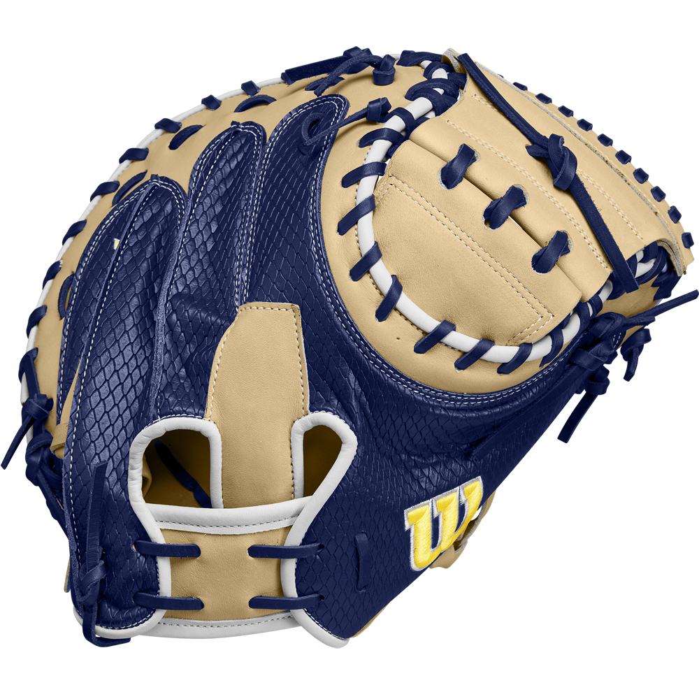 Blue catchers mitt shop