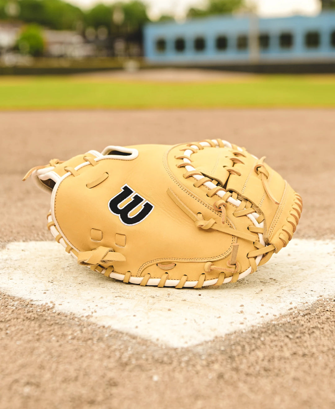 A Wilson A1000 CM33 33" Baseball Catcher's Mitt (WBW10258933) rests on home plate at a baseball field, with grass and a blue dugout visible in the blurred background.