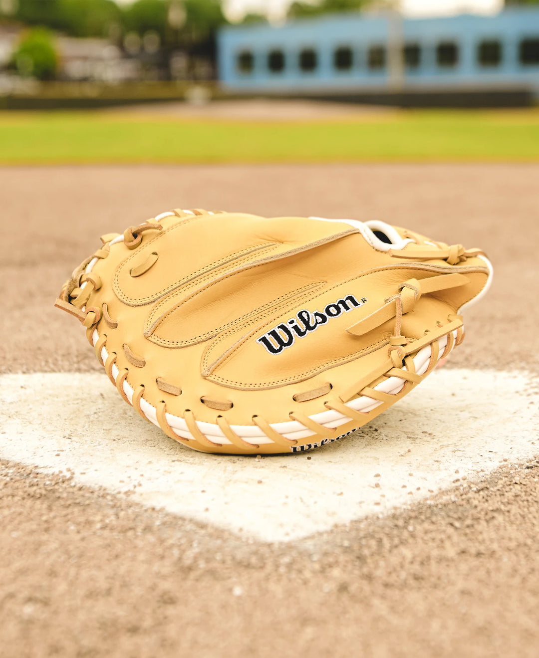 A Wilson A1000 CM33 33" Baseball Catcher's Mitt (WBW10258933) by Wilson rests on home plate at a baseball field, with green grass and a blue building in the background.