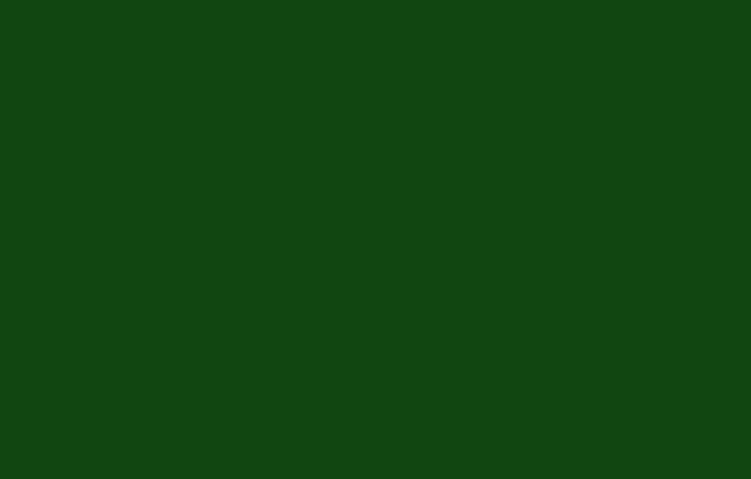 A solid dark green rectangle fills the entire image, with no visible patterns, textures, or objects.