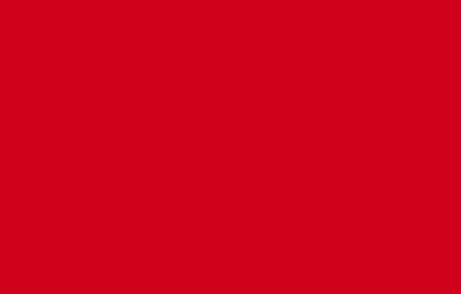 A solid, uniform red rectangle fills the entire image with no additional patterns, textures, or visible objects.