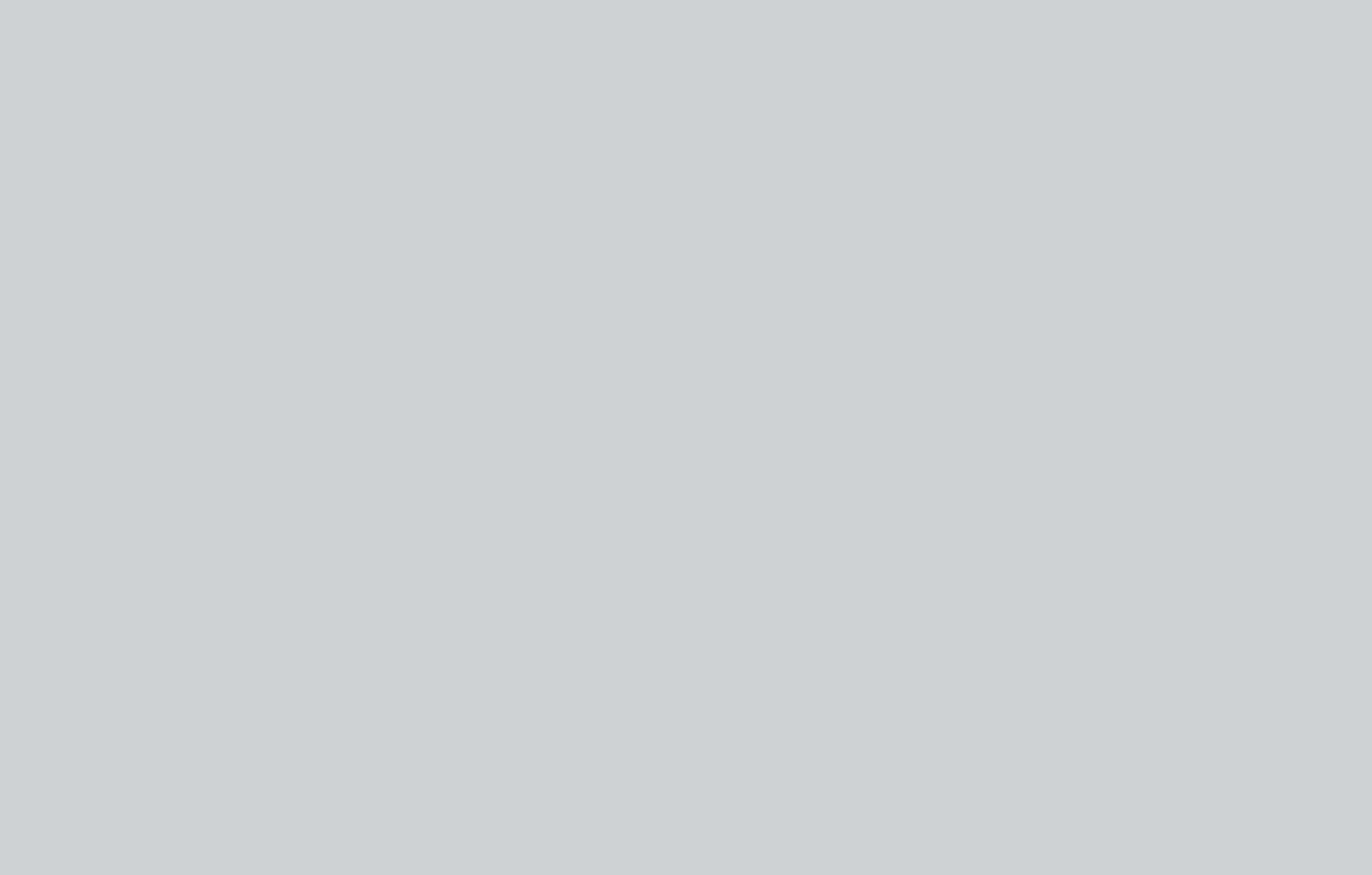 A plain, solid light gray background with no visible objects or patterns.
