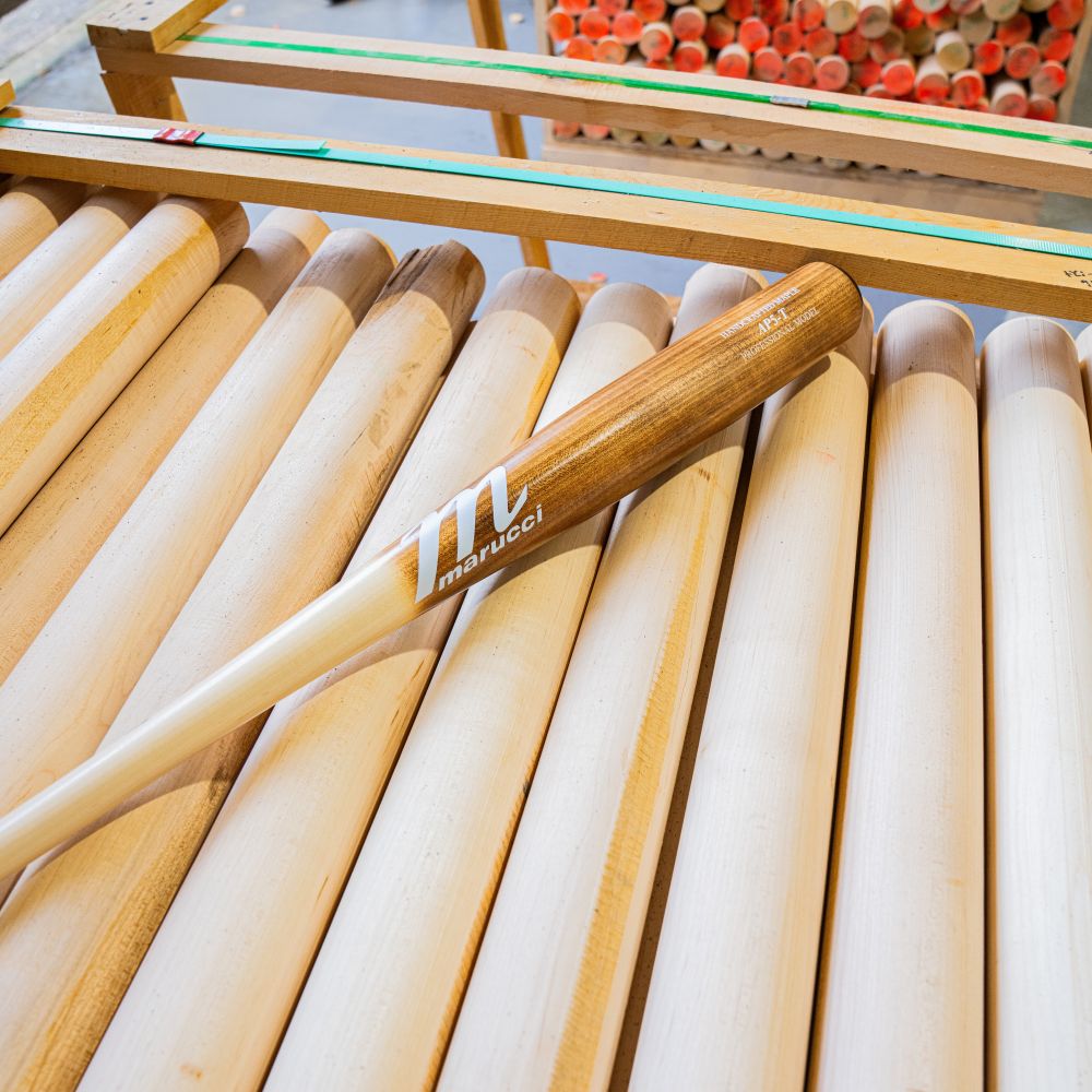 A Marucci AP5 Torpedo Pro Model Maple Wood Bat (MVE5AP5T) with a light handle and dark barrel rests on unfinished bats in a workshop, designed for power hitters seeking top performance and signature Marucci style.
