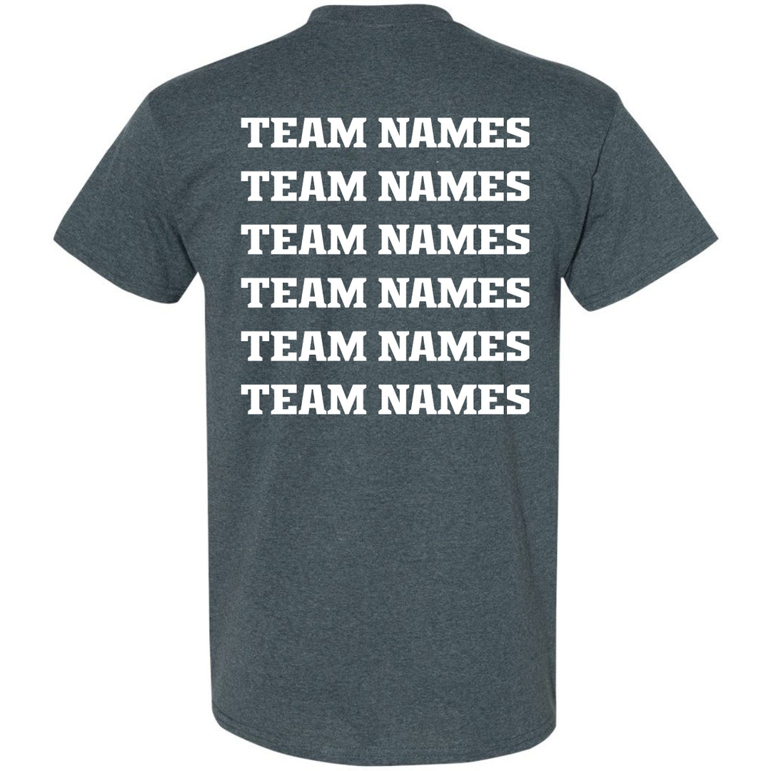 2025 NSA Michigan State Championships Fastpitch Tournament Shirt & Hoodie