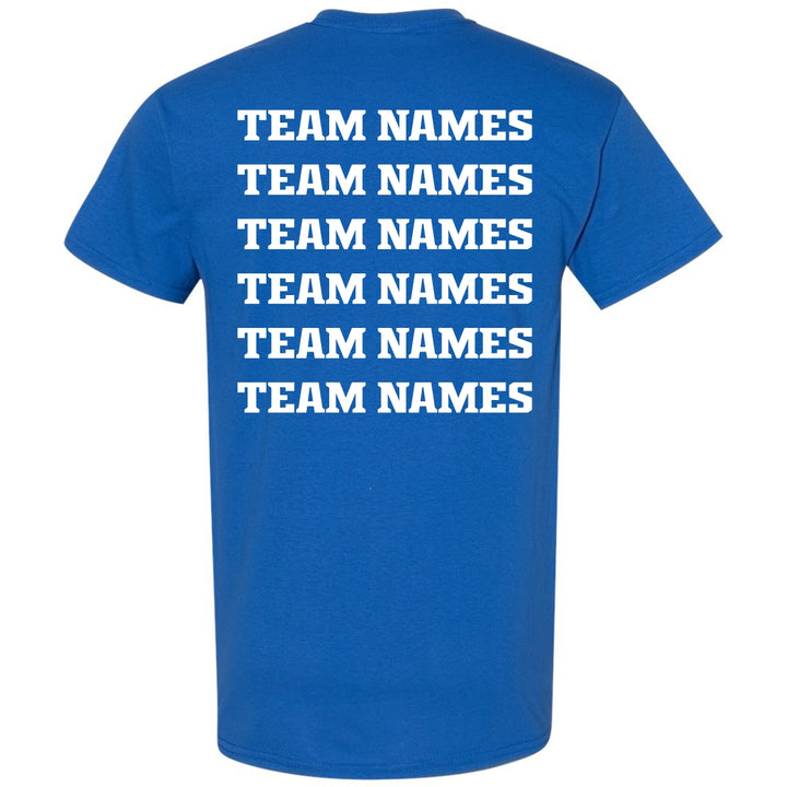 2025 NSA Michigan State Championships Fastpitch Tournament Shirt & Hoodie