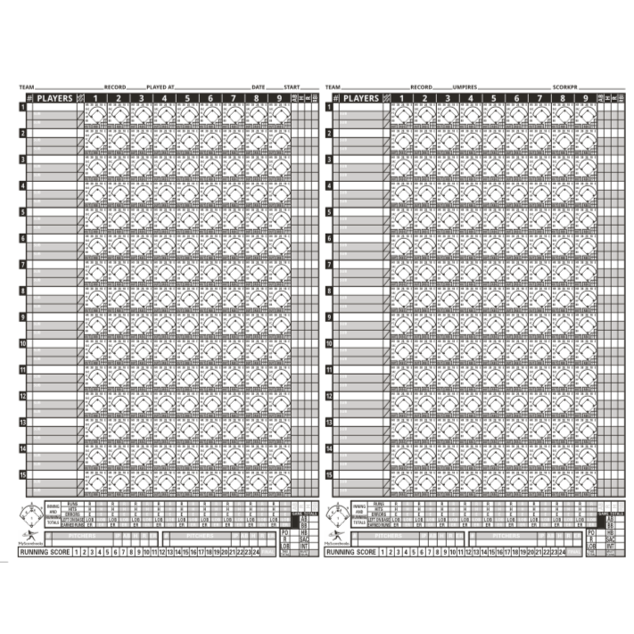Diamond Sport Gear 15 Player Side by Side Scorebook: MSBXLG15
