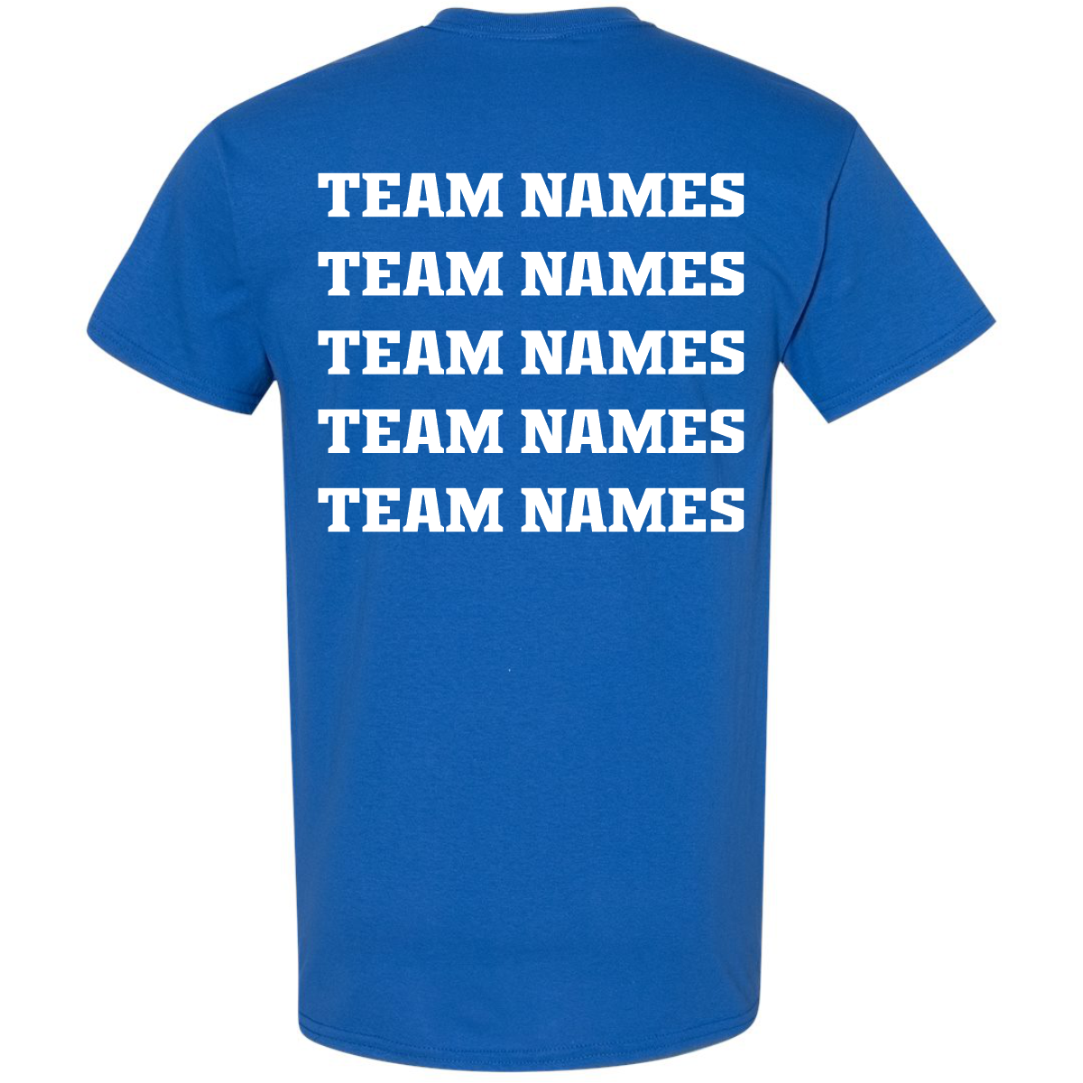 Blue 2027 NSA Early Bird Bash Fastpitch Tournament Shirt by DSG Apparel featuring five lines of white text that read TEAM NAMES on the back.