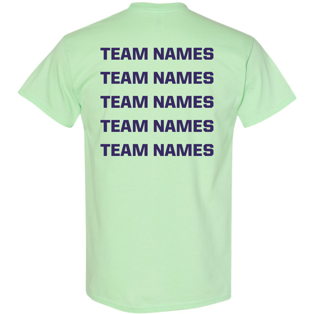 2026 NSA Michigan Fall State Fastpitch Tournament Shirt