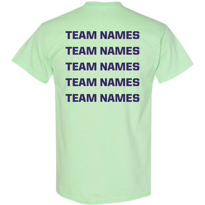 2026 NSA Michigan Fall State Fastpitch Tournament Shirt