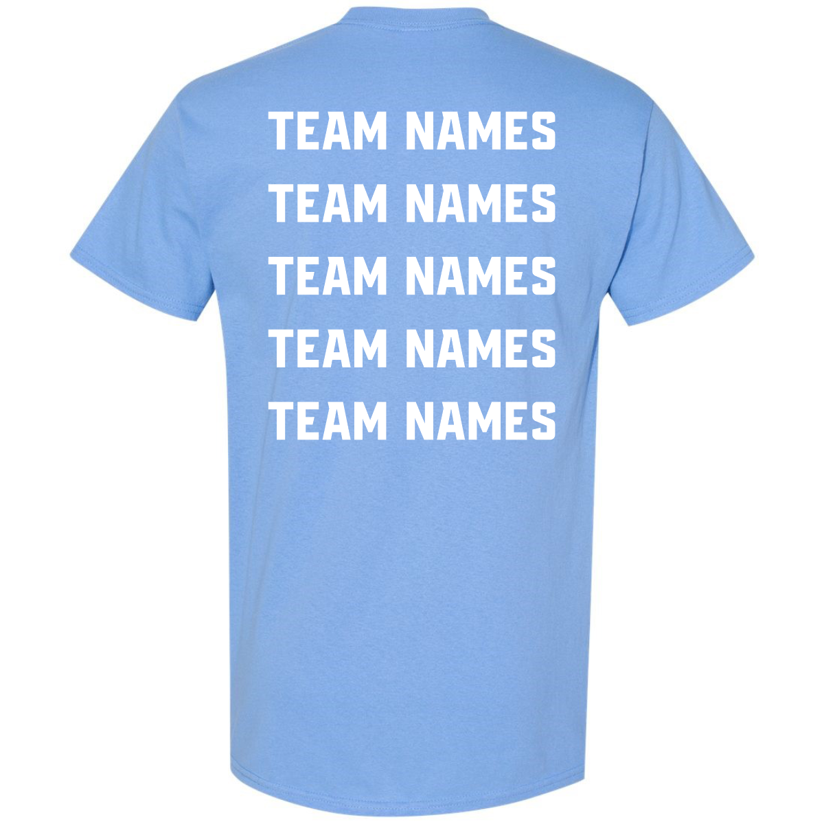 Back view of a light blue cotton blend 2027 NSA Fastpitch Fever Fastpitch Tournament Shirt featuring the words TEAM NAMES printed in five stacked white rows.