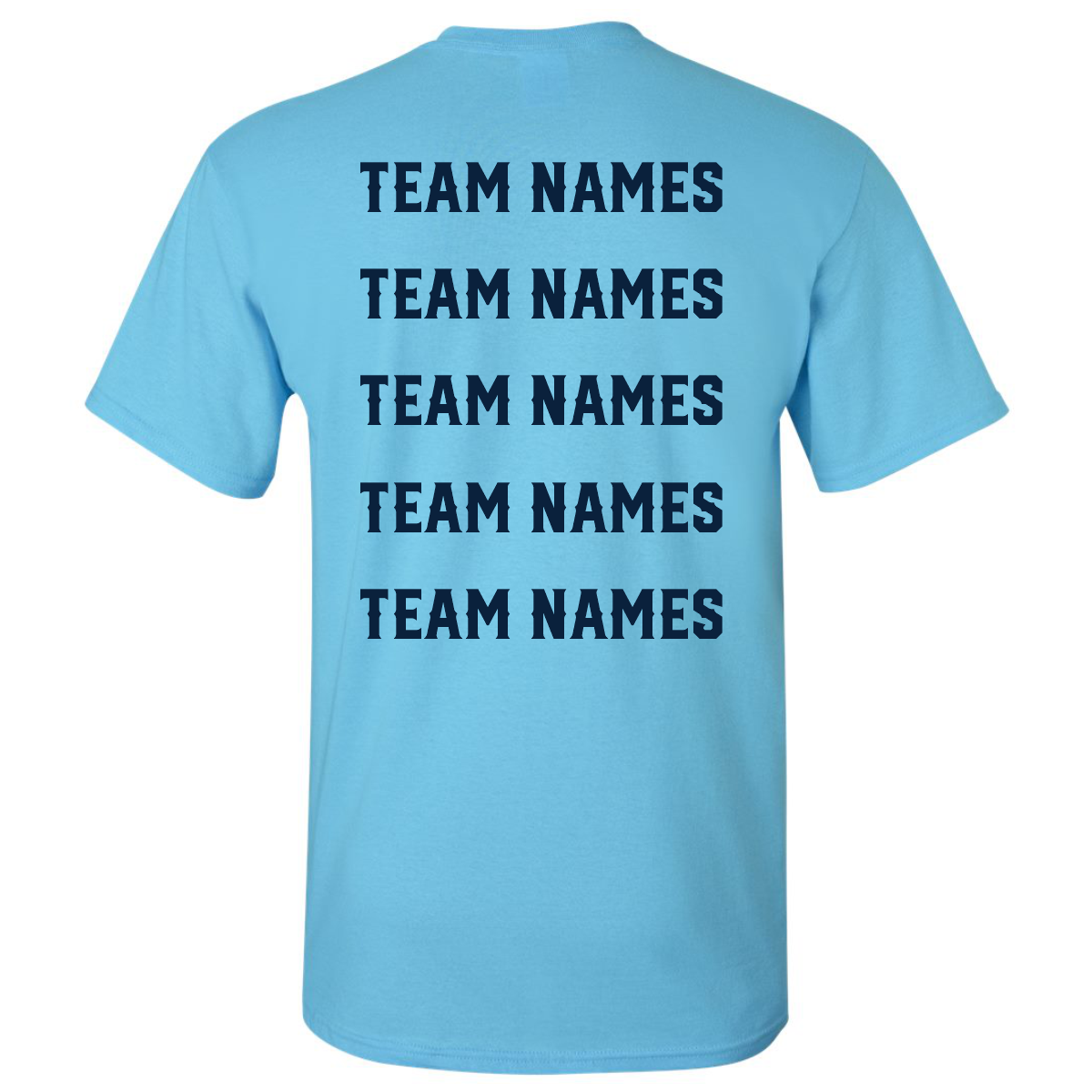 Back view of a light blue 2027 NSA Firecracker Xplosion Fastpitch Tournament Shirt by DSG Apparel featuring five lines of dark blue text that each read TEAM NAMES.