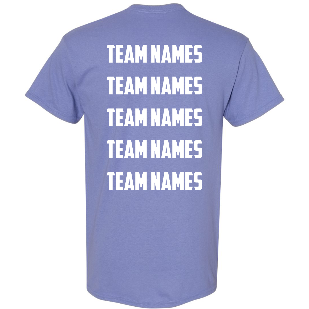 Periwinkle short-sleeved 2027 NSA Great Lakes Classic Fastpitch Tournament Shirt with the words TEAM NAMES printed in white block letters in five stacked rows on the back.