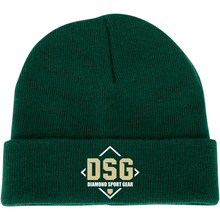The Champro Sports Diamond Sport Gear DSG Polar Cuff Beanie (HBE1-DSG) in dark green features a folded brim and the DSG Diamond Sport Gear logo in vegas gold and white text embroidered on the front.