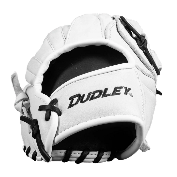 Dudley 14" Slowpitch Glove: DFG14H