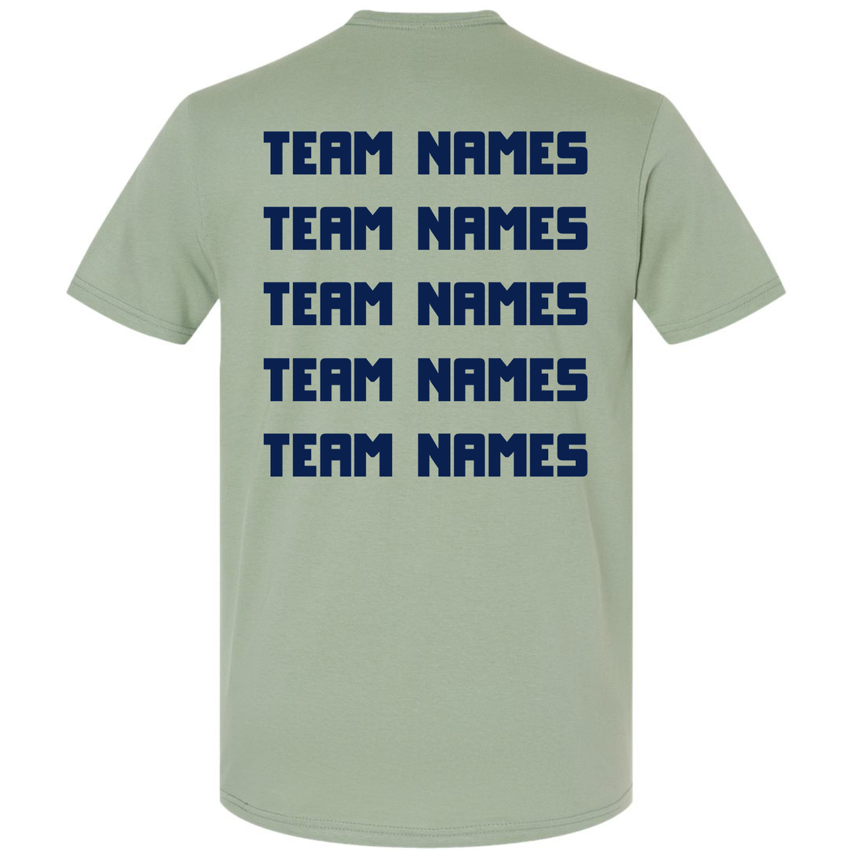 Back view of a sage green 2027 NSA Michigan Classic Fastpitch Tournament Shirt by DSG Apparel, featuring five rows of navy blue text reading TEAM NAMES.