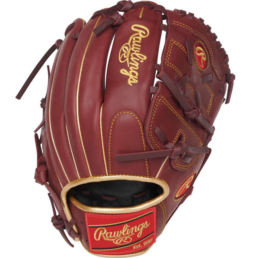 The Rawlings R9 12" Baseball Glove (R9206-9SH) features brown leather with gold and red accents, visible stitching, and the Rawlings logo on the wrist strap and glove back.