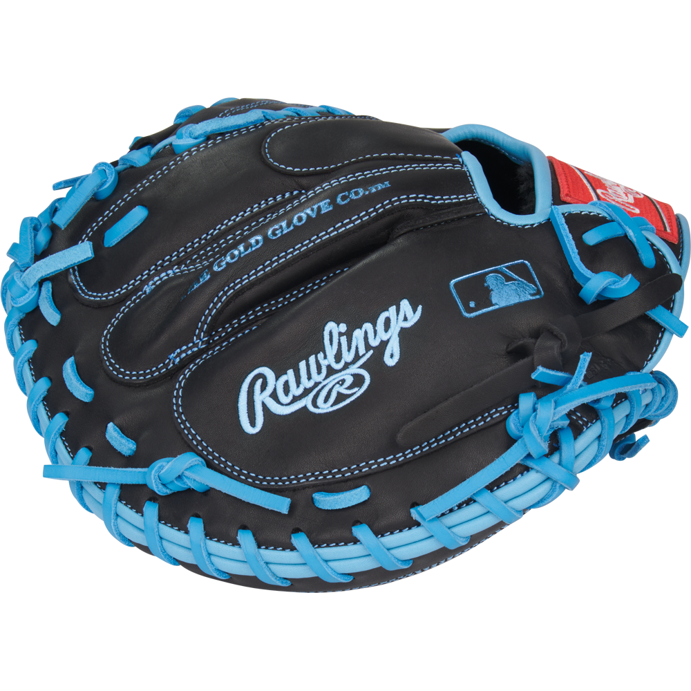 A Rawlings R9 32.5" Baseball Catcher's Mitt (R9CM325BCB) in black with light blue laces and stitching, Rawlings branding, and a Gold Glove Company label is displayed against a white background.