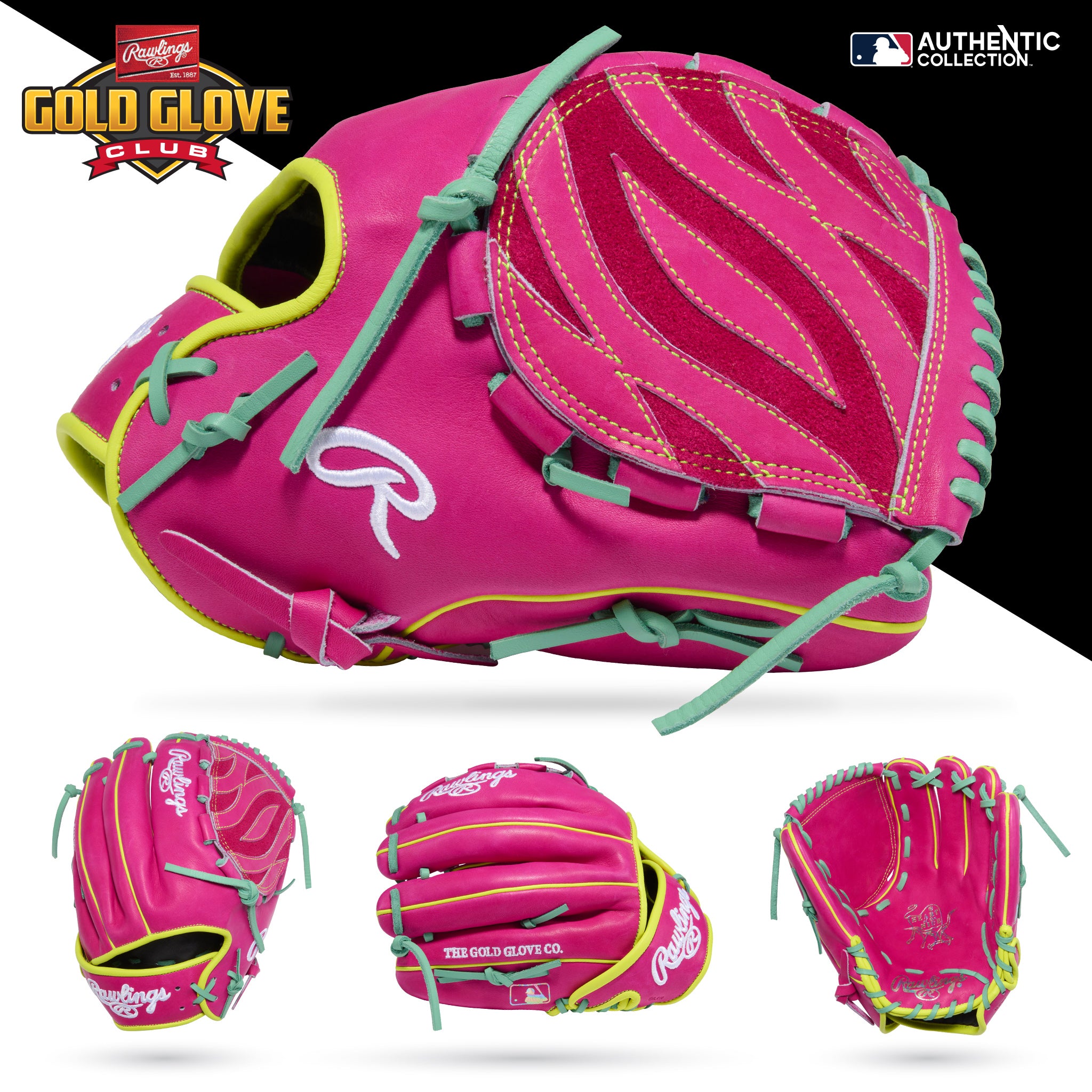 Rawlings Heart of the Hide 12