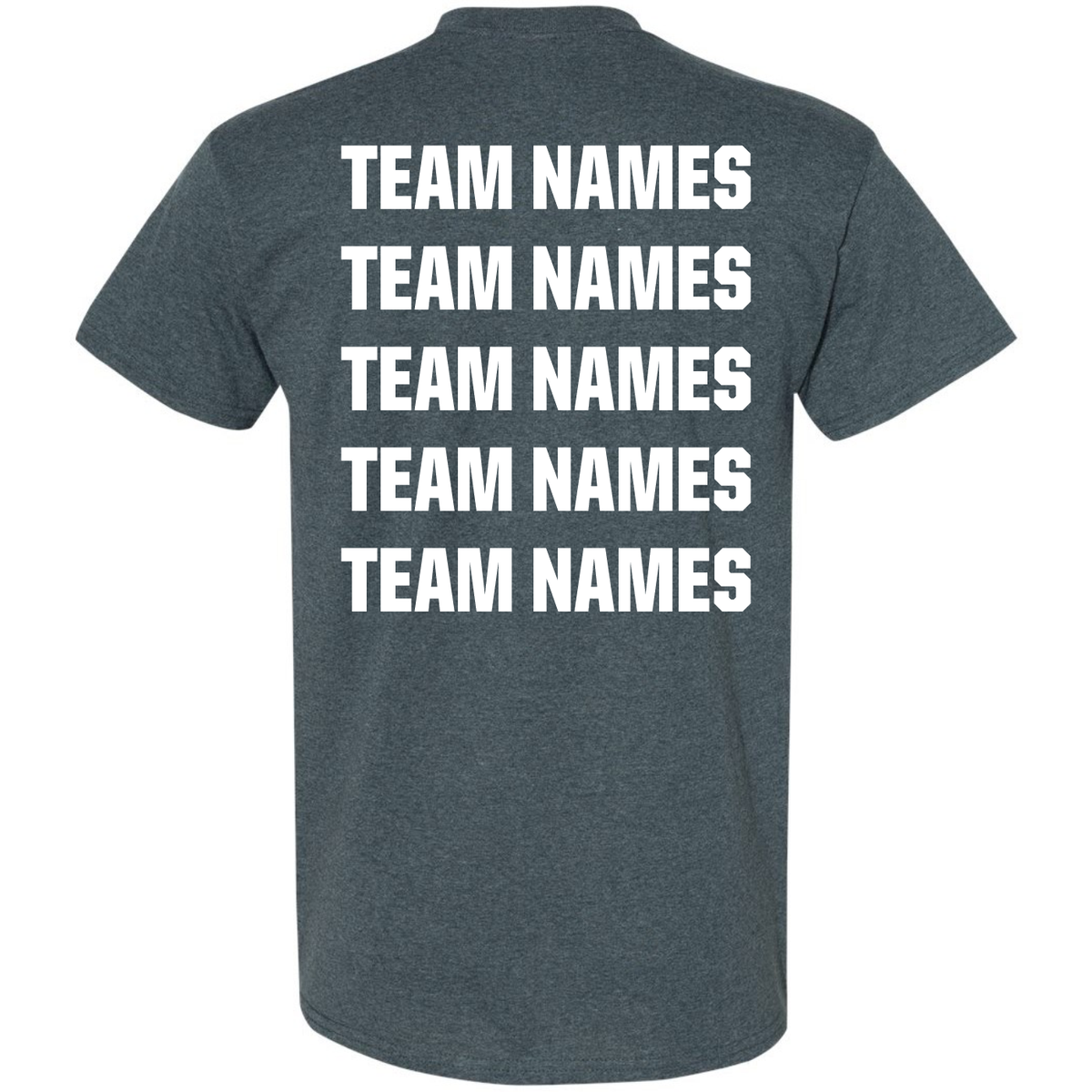 Dark gray 2027 NSA Salute to Service Fastpitch Tournament Shirt with the words TEAM NAMES printed in white stacked in five rows on the back.