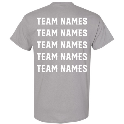 2026 NSA Michigan State Championships Fastpitch Tournament Shirt & Hoodie