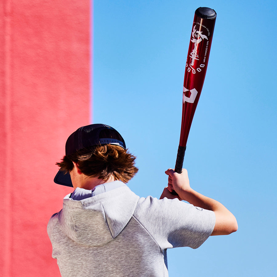 A person wearing a gray hoodie and black cap stands with their back to the camera, holding a red baseball bat, preparing to swing. A red wall and blue sky are in the background.
