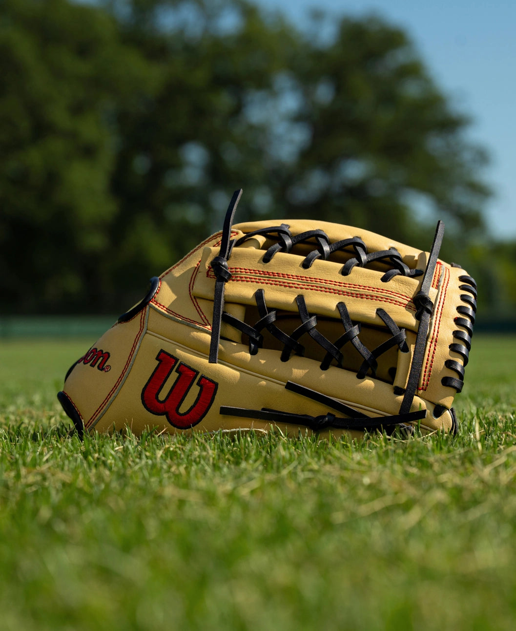Wilson A700 12″ Baseball Glove: WBG04501RT12 in tan full grain leather with black lacing resting on a grass field.