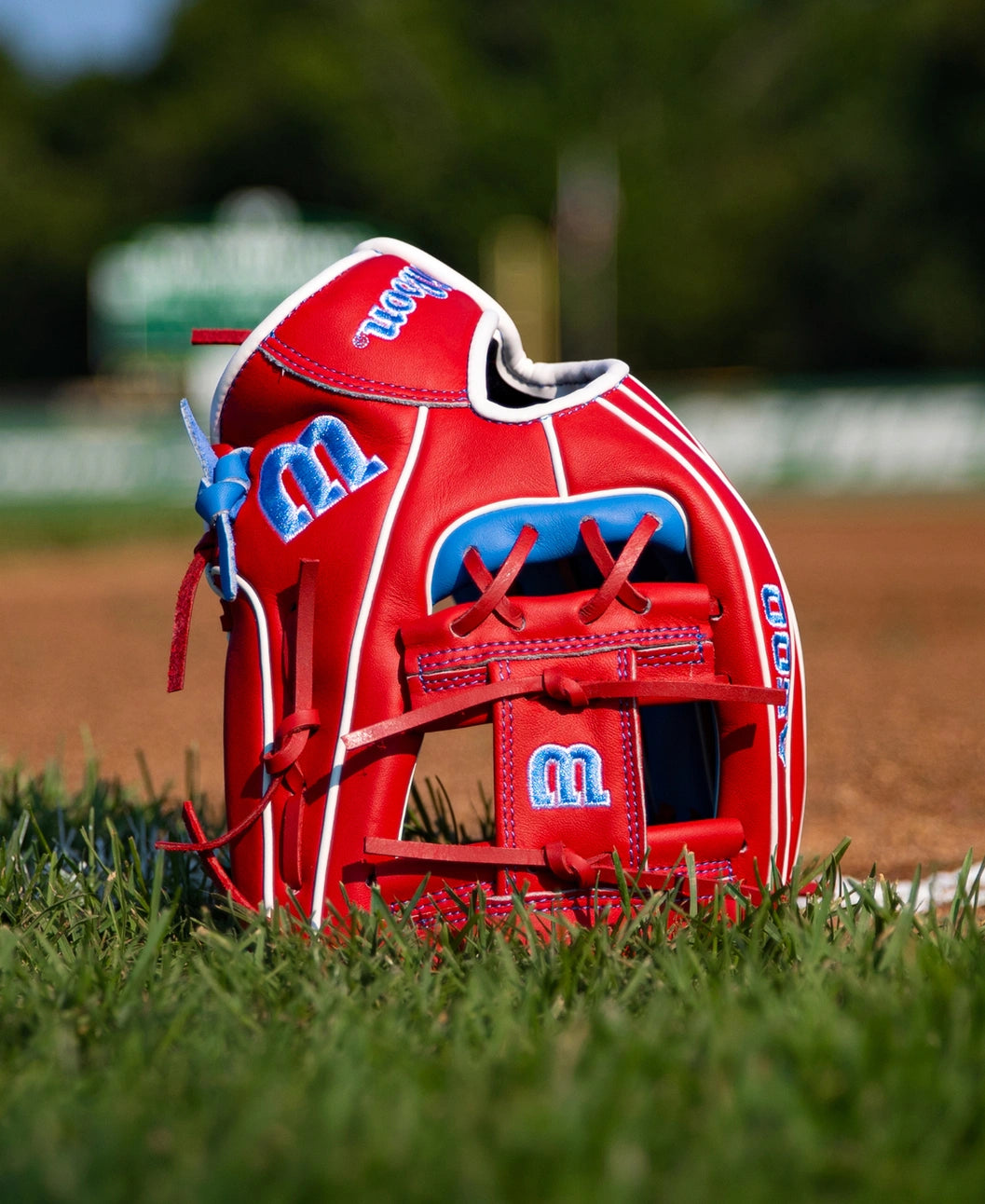 Red Wilson A500 11″ Baseball Glove: WBG08501RT11 with blue logos and white trim sitting on a grass field.
