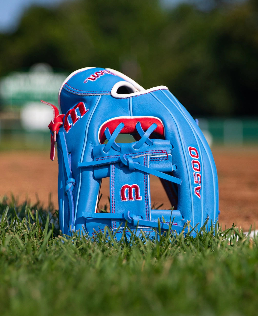 Blue all-leather Wilson A500 11.5″ Baseball Glove: WBG08601RT115 with red lacing sitting on a grass field.