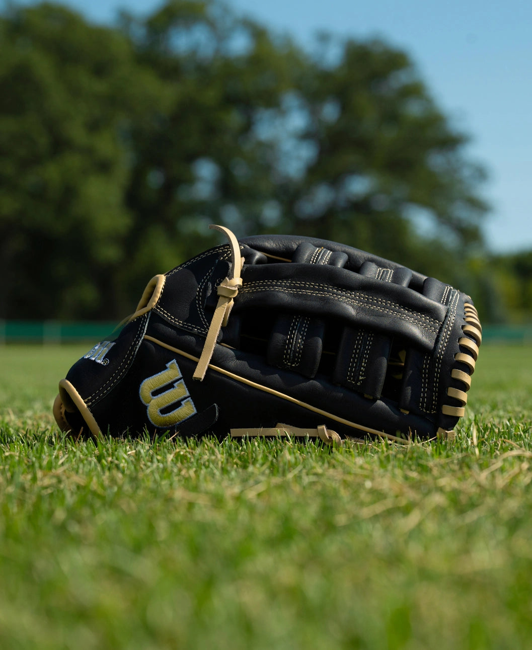 A black leather Wilson A500 12.5″ Baseball Glove: WBG08801RT125 with tan lacing resting on a grass field.