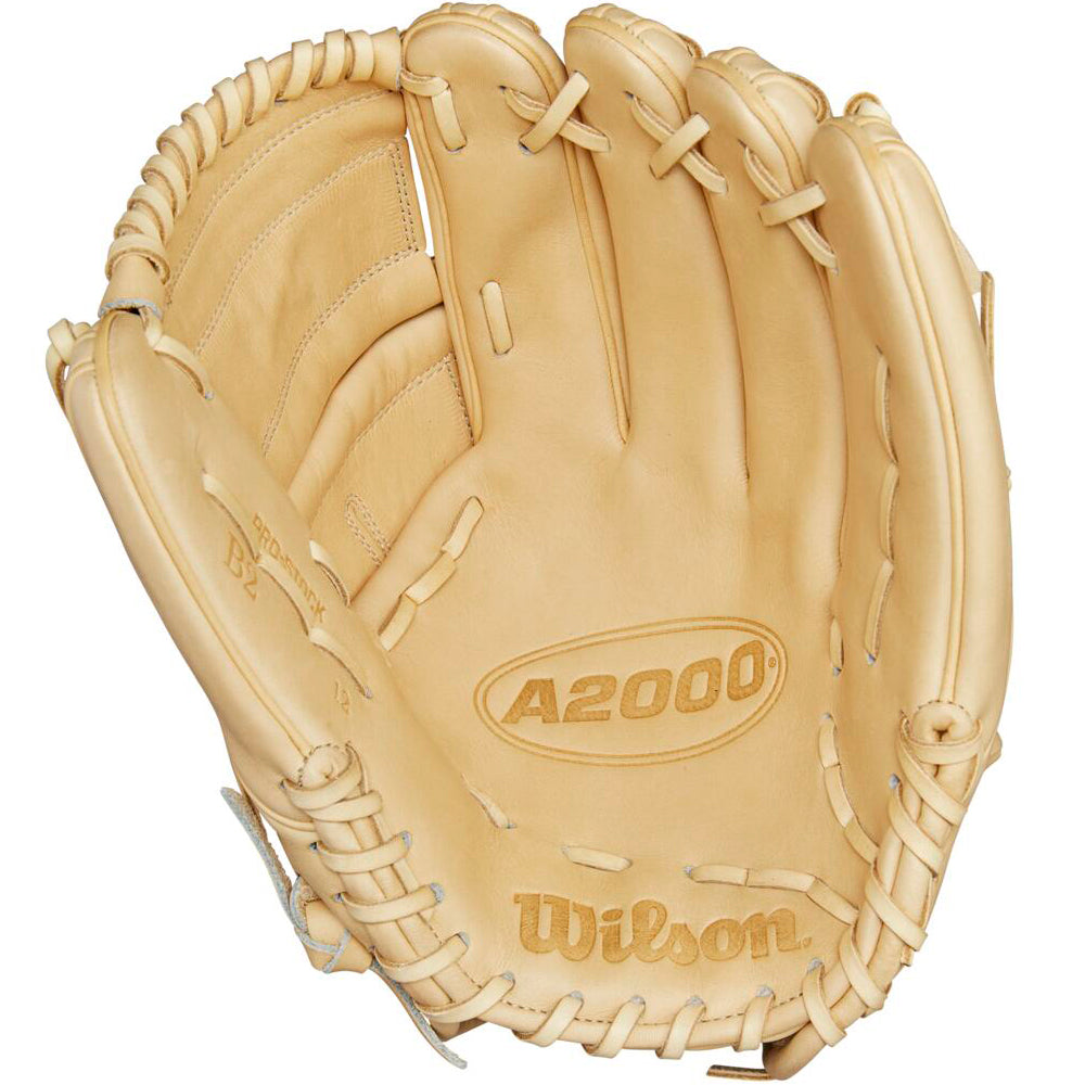 Wilson A2000 B2 12" Glove Day Series Baseball Glove: WBW10208112