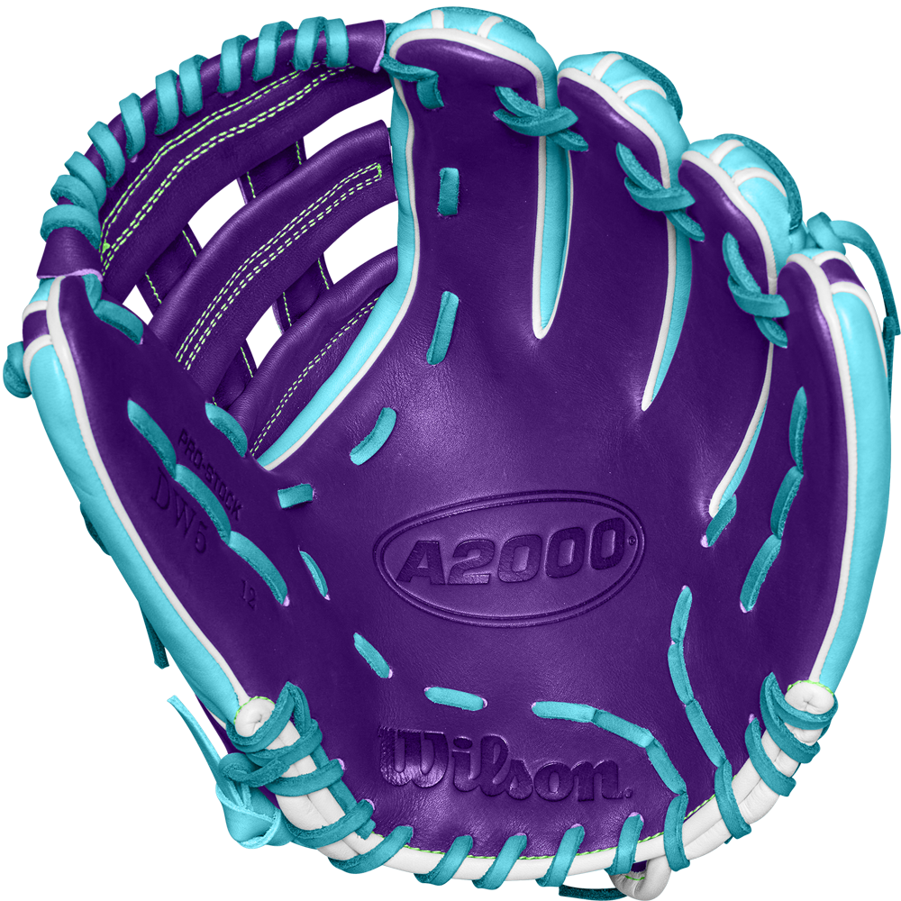 Wilson A2000 DW5 12" Baseball Glove - Winter 2024: WBW10252212