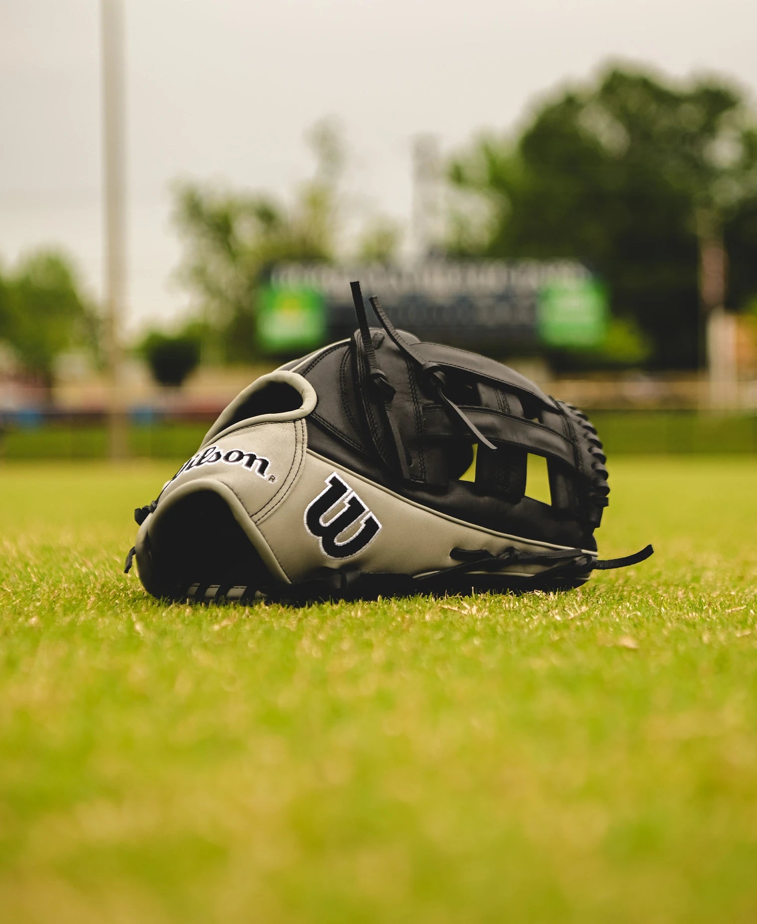 A Wilson A1000 1750 12.5" Baseball Glove (WBW102585125) by Wilson sits on the grass, ready for game-winning outfield catches like Mookie Betts.