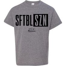 The DSG Apparel NSA Softball Season Short Sleeve Shirt is gray with "SFTBL SZN" in bold black letters and smaller National Softball Association (NSA) text beneath in a stylized font.