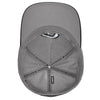 DeMarini Radiation D Flex Fit Hat: WTD1092