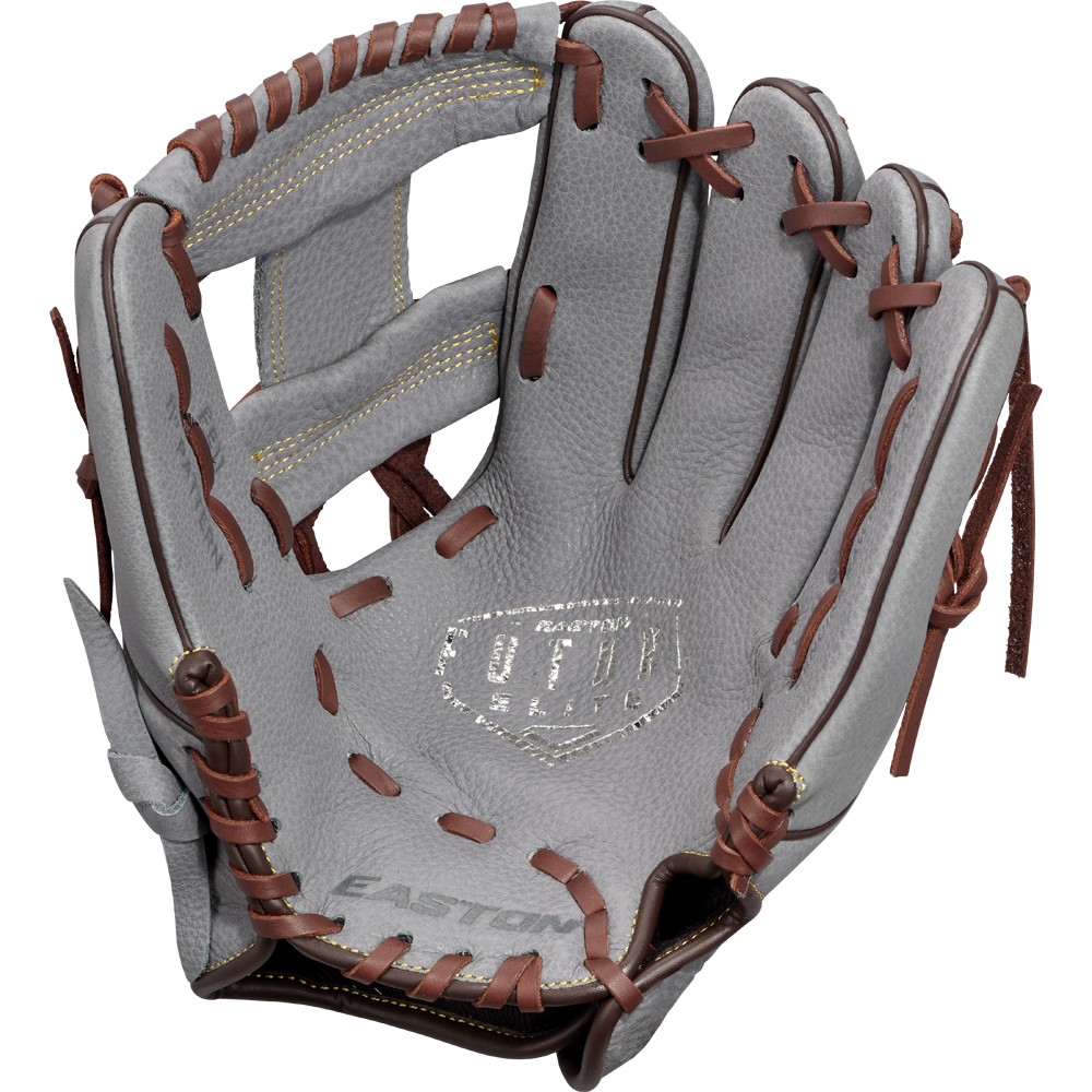 Easton Future Elite 11" Baseball Glove: FE11-GYBR
