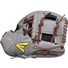 Easton Future Elite 11" Baseball Glove: FE11-GYBR