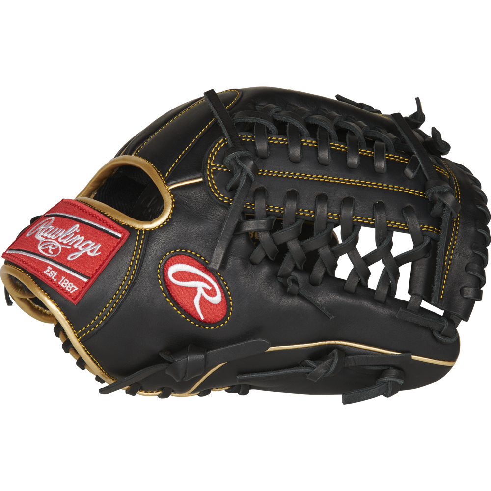 The Rawlings R9 11.75" Baseball Glove (R9205-4BG) is black with tan stitching and laces, a durable all-leather shell, and features a red Rawlings logo patch with "Est. 1887" on the wrist strap.
