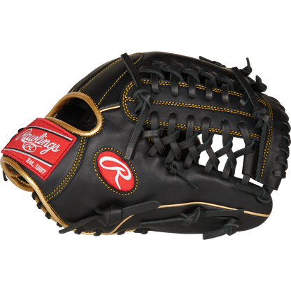 The Rawlings R9 11.75" Baseball Glove (R9205-4BG) is black with tan stitching and laces, a durable all-leather shell, and features a red Rawlings logo patch with "Est. 1887" on the wrist strap.