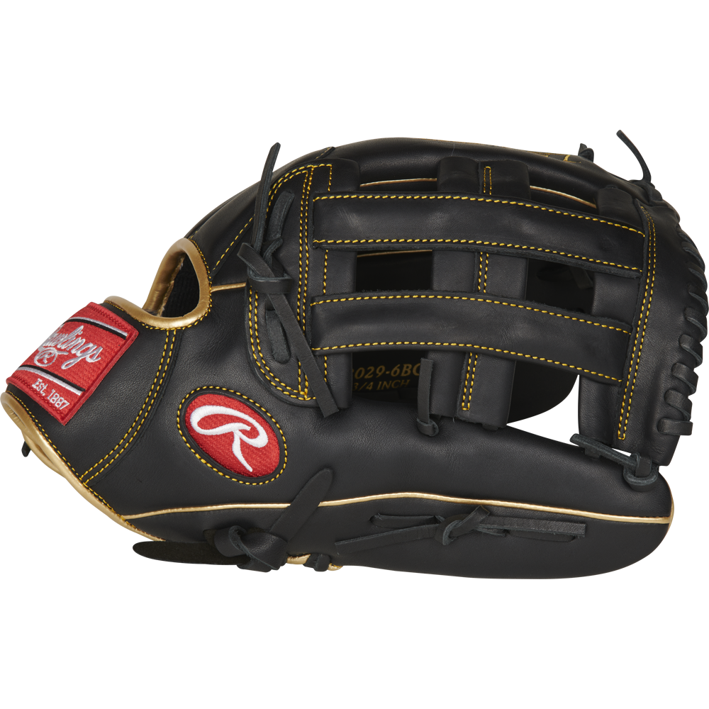 The Rawlings R9 12.75" Baseball Glove (R93029-6BG) features black leather with tan stitching and laces, plus red Rawlings logos on the thumb and wrist. This game-ready glove offers premium comfort and durability against a white background.