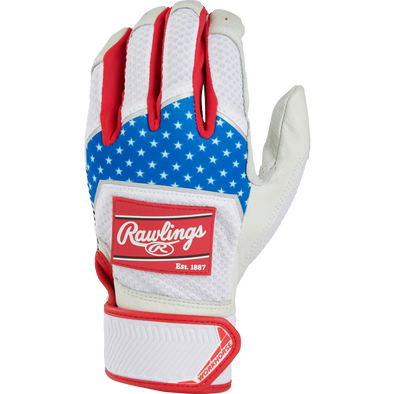 Rawlings Workhorse Youth Batting Gloves: WH22BY